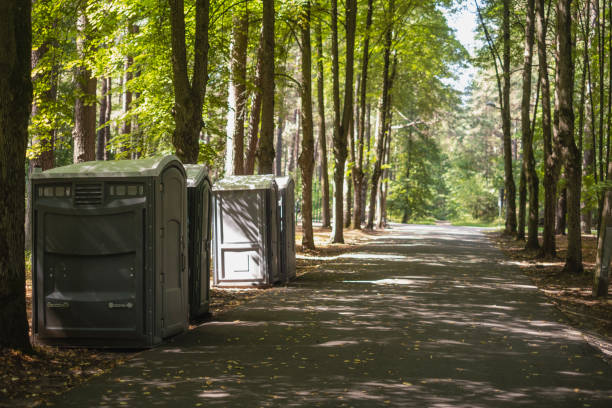 Portable Toilet Options We Offer in Park Layne, OH